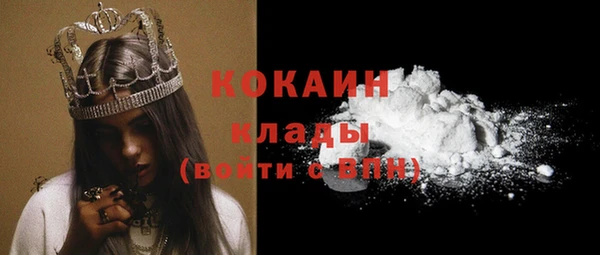 прущие грибы Абаза