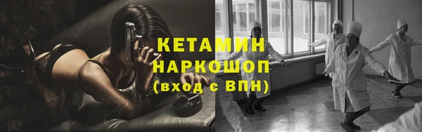 прущие грибы Абаза