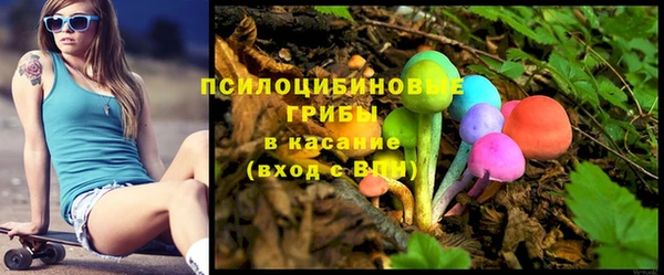 прущие грибы Абаза