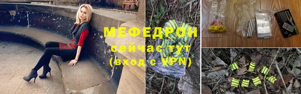 прущие грибы Абаза
