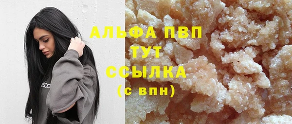 прущие грибы Абаза