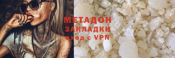 прущие грибы Абаза