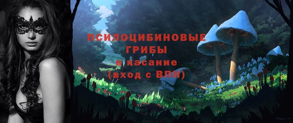 прущие грибы Абаза