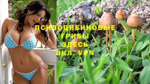 PSILOCYBIN Абинск