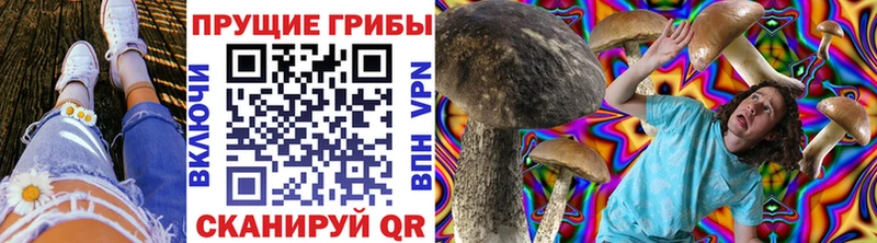 мега вход  Углегорск  Галлюциногенные грибы Cubensis 
